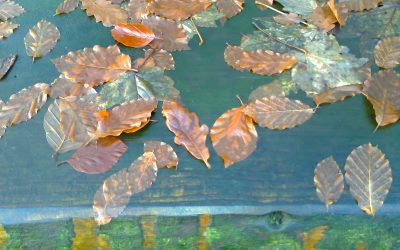 Wild October saints…who’s top of your list?