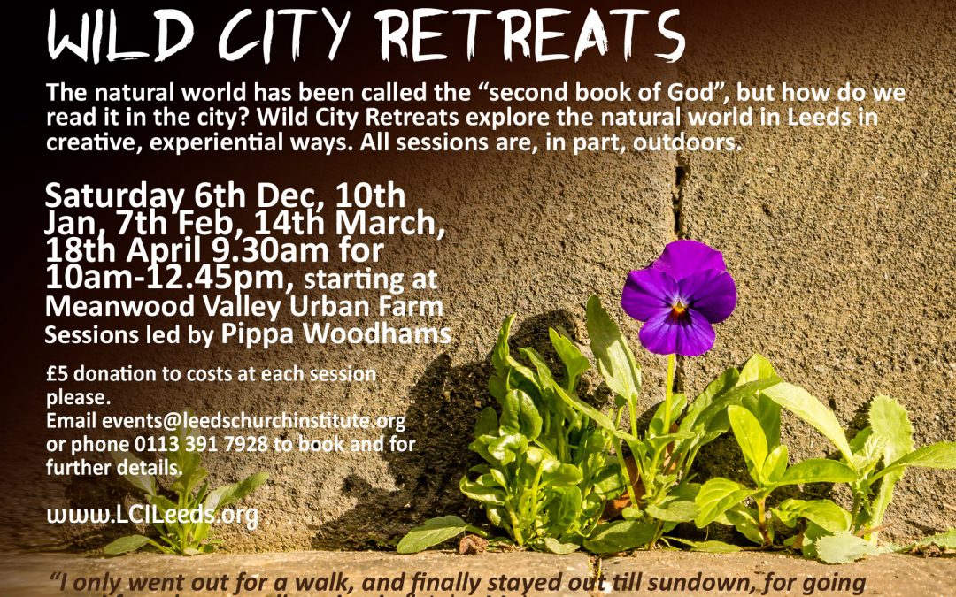 Wild City Retreats