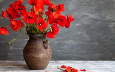 Remembering The Dead – Changing Public And Private Practices (Podcast)