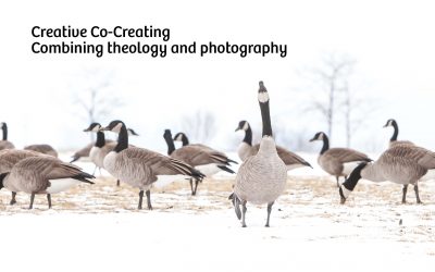 Creative Co-Creating: Combining theology and photography
