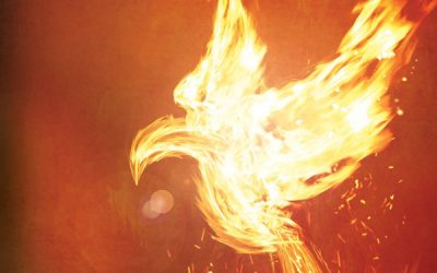 Holy Spirit Radicals with Arani Sen (podcast)