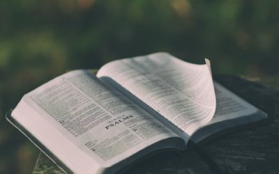 Poetry and Theology – from Hannah Stone, our Poet Theologian in Virtual Residence