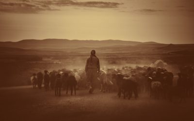 Leading from behind