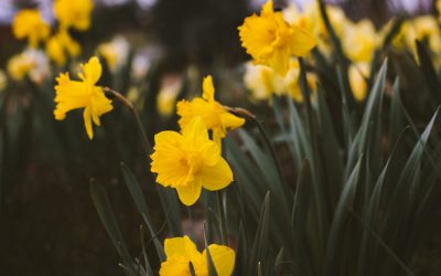 Unlocked – a poem for 23rd March’s National Day of Reflection 2021