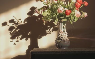 Remembering Patricia Farrell