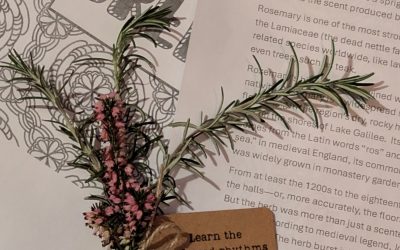 Waiting in Nature: A botanist’s reflections for Advent